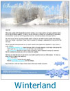 Winterland